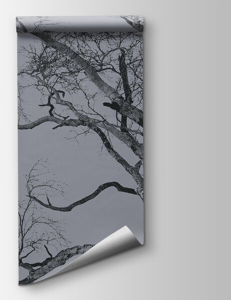 Fototapeta Drzewo z gałęziami i księżycem w tle, Fototapety Natura, Popularne Fototapety, u19208 - Tapeko.pl