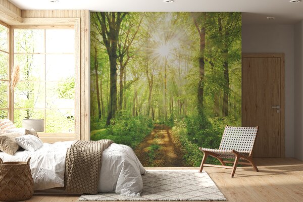 Fototapety Ścieżka w słonecznym lesie, Fototapety Natura, u22252 : Uwalls.pl