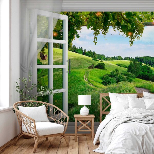 Fototapeta Okno z otwartymi drzwiami i ścieżka przez trawiaste pole, Fototapety 3d, Popularne Fototapety, u28196 - Tapeko.pl