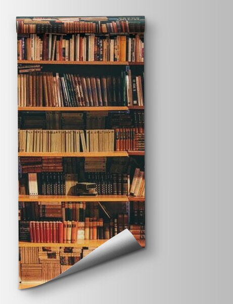 Fototapeta Duży regał pełen książek, Fototapety Powiększające wnętrze, Popularne Fototapety, u40004 - Tapeko.pl