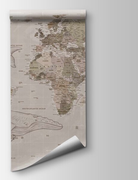 Fototapeta Mapa świata z wielorybami, Fototapety z mapami świata, Popularne Fototapety, u50449 - Tapeko.pl