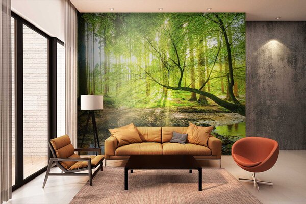 Fototapeta Strumień w lesie, Fototapety Natura, Popularne Fototapety, u52615 - Tapeko.pl