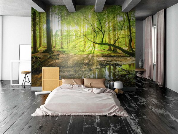 Fototapeta Strumień w lesie, Fototapety Natura, Popularne Fototapety, u52615 - Tapeko.pl