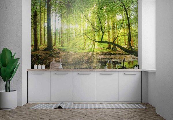 Fototapeta Strumień w lesie, Fototapety Natura, Popularne Fototapety, u52615 - Tapeko.pl
