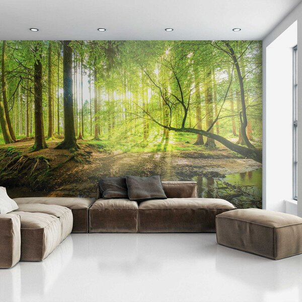 Fototapeta Strumień w lesie, Fototapety Natura, Popularne Fototapety, u52615 - Tapeko.pl