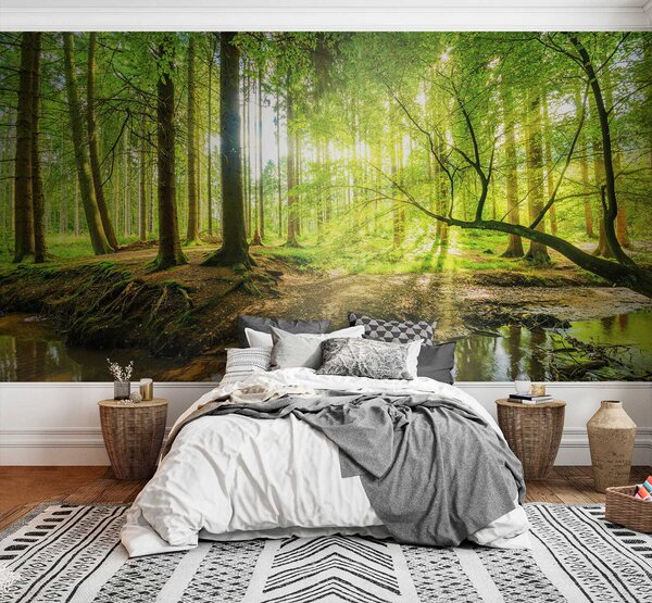 Fototapeta Strumień w lesie, Fototapety Natura, Popularne Fototapety, u52615 - Tapeko.pl
