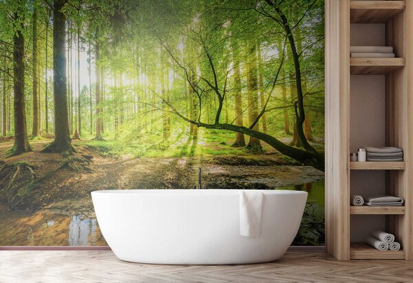 Fototapeta Strumień w lesie, Fototapety Natura, Popularne Fototapety, u52615 - Tapeko.pl