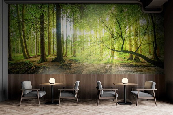 Fototapeta Strumień w lesie, Fototapety Natura, Popularne Fototapety, u52615 - Tapeko.pl