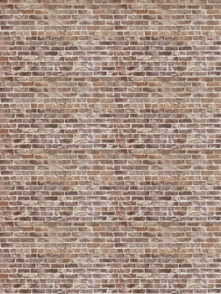 Fototapeta Ceglany mur z wieloma cegłami, Fototapety Faktury, Popularne Fototapety, u53024 - Tapeko.pl