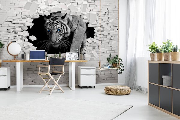 Fototapeta Tygrys przechodzący przez dziurę w ścianie, Fototapety design, Popularne Fototapety, u53013 - Tapeko.pl