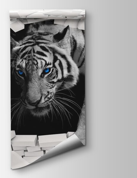 Fototapeta Tygrys przechodzący przez dziurę w ścianie, Fototapety design, Popularne Fototapety, u53013 - Tapeko.pl