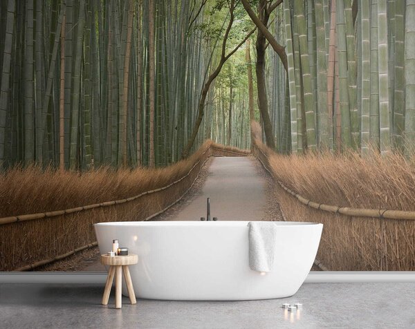 Fototapeta Ścieżka przez bambusowy las, Fototapety design, Popularne Fototapety, u56406 - Tapeko.pl