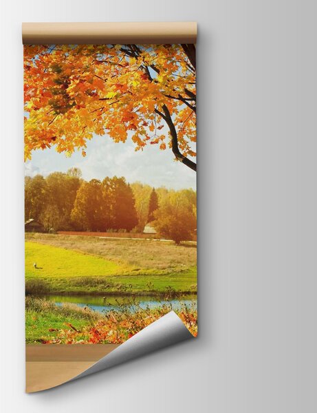 Fototapeta Okno z drzewami i rzeką, Fototapety Natura, Popularne Fototapety, u56673 - Tapeko.pl