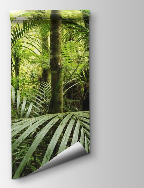 Fototapeta Zielony las z palmami, Fototapety Dżungla, Popularne Fototapety, u56916 - Tapeko.pl