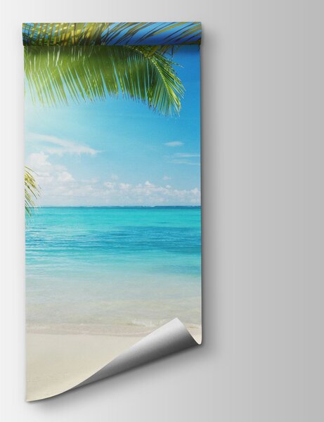 Fototapeta Palmy na plaży, Fototapety Morze i Plaża, Popularne Fototapety, u57179 - Tapeko.pl