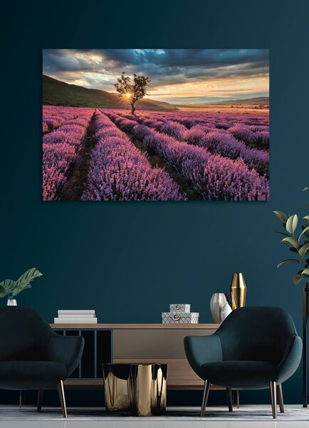 Fototapeta Drzewo na polu lawendy, Fototapety Natura, Popularne Fototapety, u57229 - Tapeko.pl