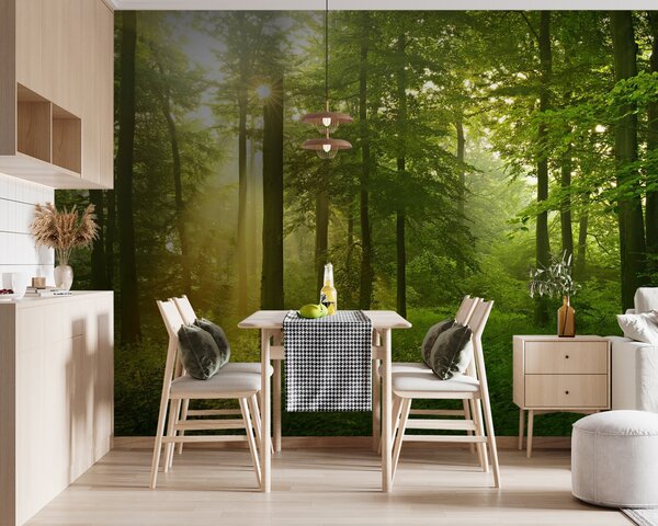 Fototapeta Słońce prześwitujące przez drzewa, Fototapety Natura, Popularne Fototapety, u57295 - Tapeko.pl
