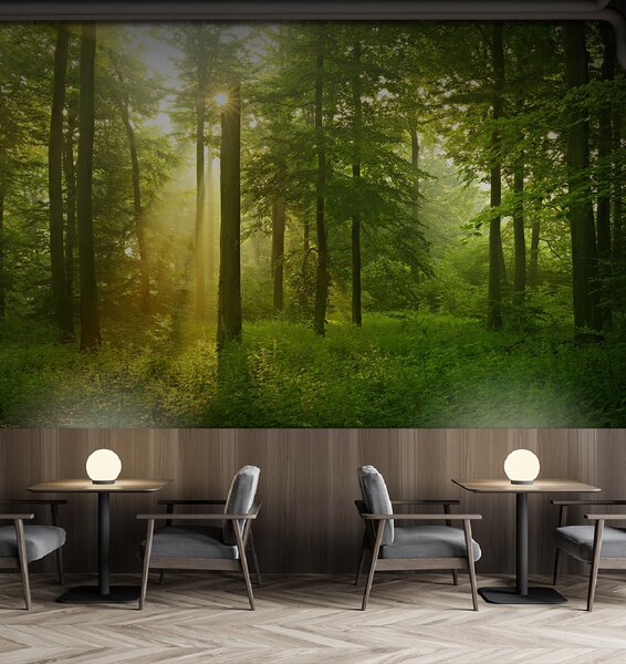 Fototapeta Słońce prześwitujące przez drzewa, Fototapety Natura, Popularne Fototapety, u57295 - Tapeko.pl