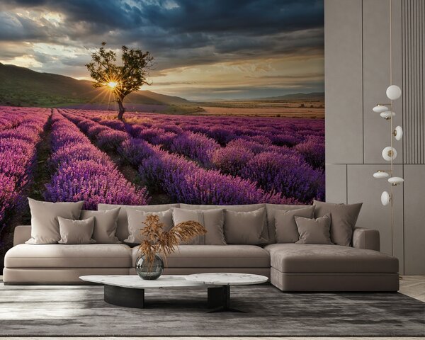 Fototapeta Drzewo na polu lawendy, Fototapety Natura, Popularne Fototapety, u57229 - Tapeko.pl