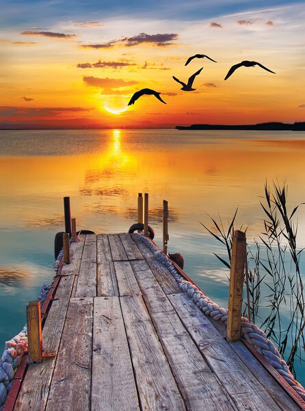 Fototapeta Dok z ptakami latającymi nad wodą, Fototapety Natura, Popularne Fototapety, u57673 - Tapeko.pl