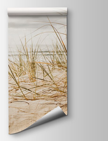 Fototapeta Delikatne fale spotykają się z przybrzeżnymi trawami, Fototapety Natura, Popularne Fototapety, u62560 - Tapeko.pl