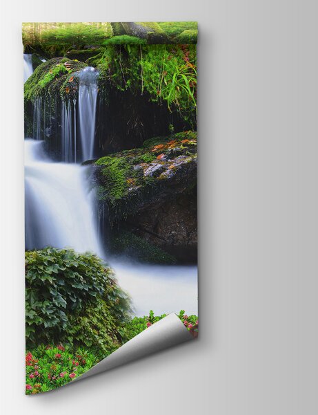Fototapeta Lew leżący na skale obok wodospadu, Fototapety z zwierzętami, Popularne Fototapety, u62920 - Tapeko.pl