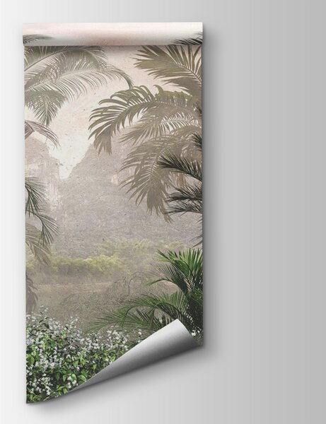 Fototapeta Grupa palm i krzewów, Fototapety Dżungla, Popularne Fototapety, u72417 - Tapeko.pl