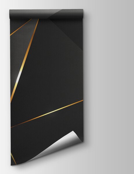 Fototapeta Abstrakcyjne kształty z połyskującymi liniami, Fototapety 3d, Popularne Fototapety, u73616 - Tapeko.pl