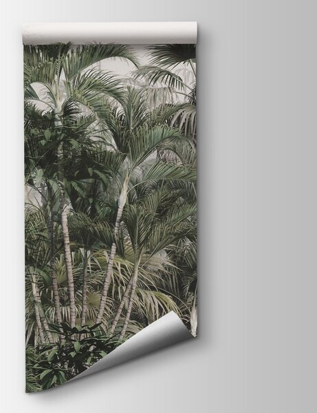 Fototapeta Grupa palm, Fototapety 3d, Popularne Fototapety, u73796 - Tapeko.pl