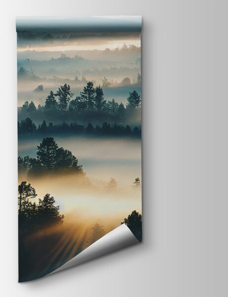 Fototapeta Mglisty krajobraz z drzewami i górami, Fototapety design, Popularne Fototapety, u73865 - Tapeko.pl