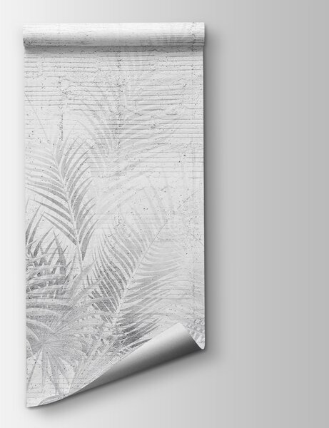 Fototapeta Białe i szare tło z liśćmi palmy, Fototapety design, Popularne Fototapety, u74401 - Tapeko.pl