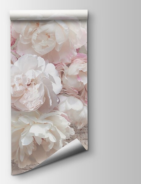 Fototapeta Grupa białych kwiatów, Fototapety 3d, Popularne Fototapety, u79549 - Tapeko.pl