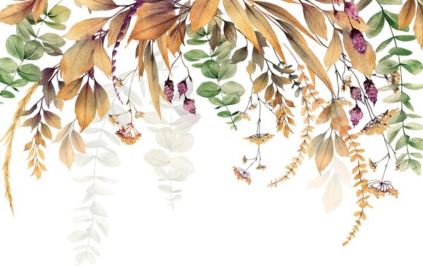 Fototapeta Botaniczna elegancja na białym tle, Fototapety Kwiaty, Popularne Fototapety, u94198 - Tapeko.pl