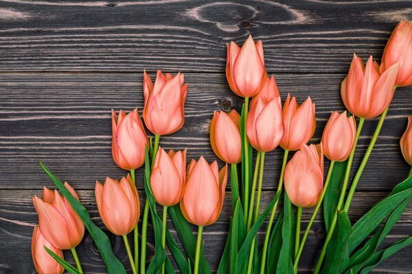 Obraz urocze pomarańczowe tulipany na drewnianym tle