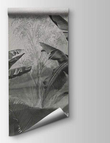 Fototapeta Czarno-biały obraz lasu tropikalnego, Fototapety Dżungla, Popularne Fototapety, u94329 - Tapeko.pl