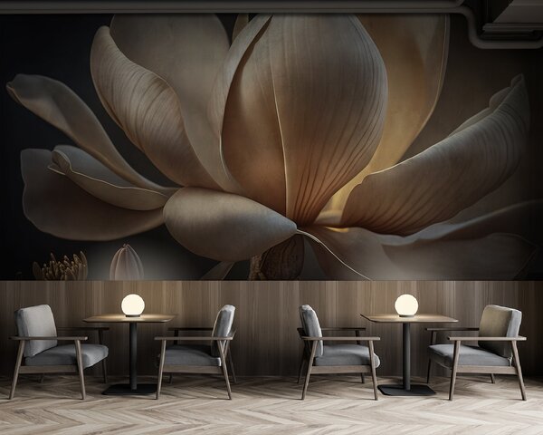 Fototapeta Wdzięczna magnolia w delikatnym świetle, Fototapety 3d z kwiatami, Popularne Fototapety, u94507 - Tapeko.pl