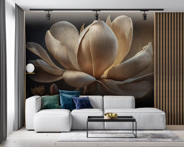 Fototapeta Wdzięczna magnolia w delikatnym świetle, Fototapety 3d z kwiatami, Popularne Fototapety, u94507 - Tapeko.pl