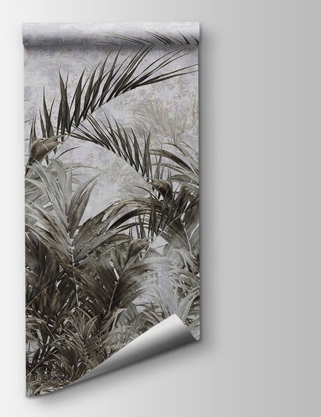 Fototapeta Grupa palm, Fototapety Dżungla, Popularne Fototapety, u96072 - Tapeko.pl