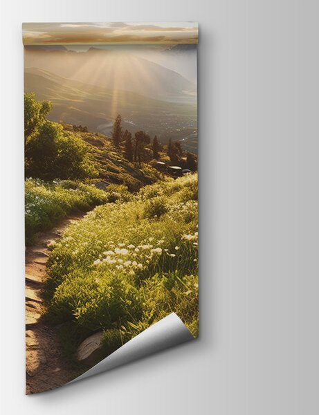 Fototapeta Ścieżka przez trawiaste pole z górami w tle, Fototapety Góry, Popularne Fototapety, u96209 - Tapeko.pl