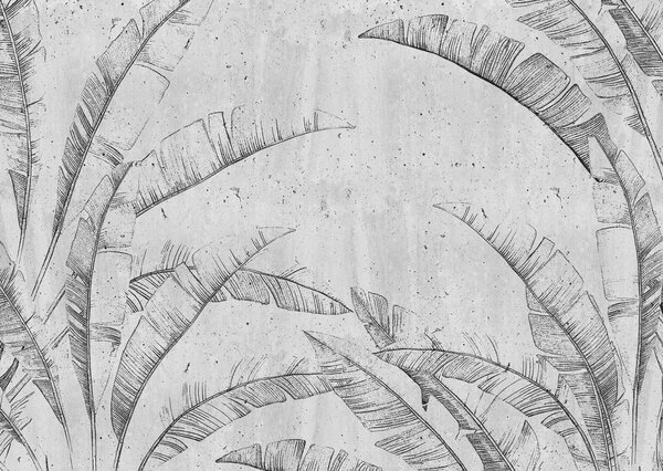 Fototapeta Rysunek liścia, Fototapety Liście, Popularne Fototapety, u96836 - Tapeko.pl