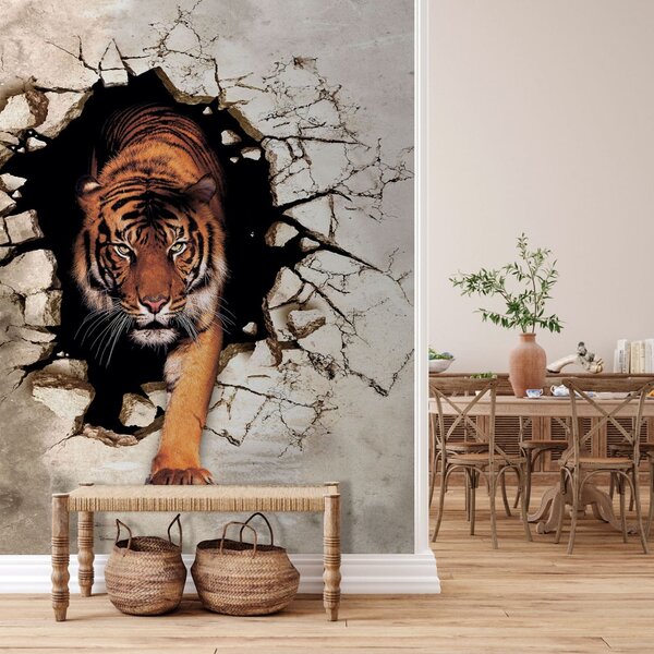 Fototapeta Tygrys wychodzący z dziury w ścianie, Fototapety 3d, Popularne Fototapety, u97031 - Tapeko.pl