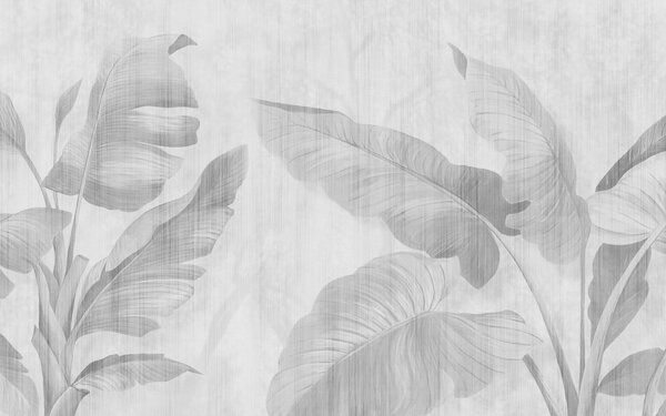 Fototapeta Eleganckie liście na subtelnym tle, Fototapety Natura, Popularne Fototapety, u00299v3 - Tapeko.pl