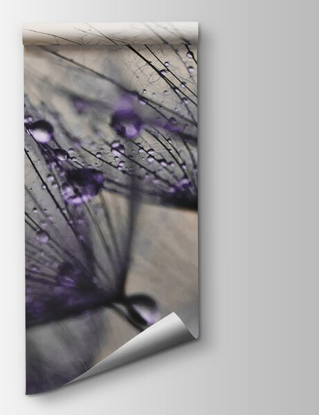 Fototapeta Delikatne krople na kruchych płatkach, Fototapety 3d, Popularne Fototapety, u57557v3 - Tapeko.pl