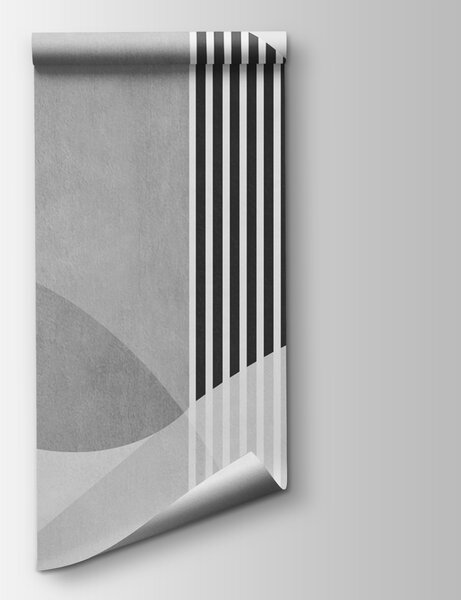 Fototapeta Szaro-białe tło z czarnymi liniami i okręgami, Fototapety Abstrakcja, Popularne Fototapety, u74075v2 - Tapeko.pl