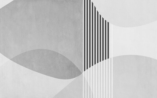 Fototapeta Szaro-białe tło z czarnymi liniami i okręgami, Fototapety Abstrakcja, Popularne Fototapety, u74075v2 - Tapeko.pl