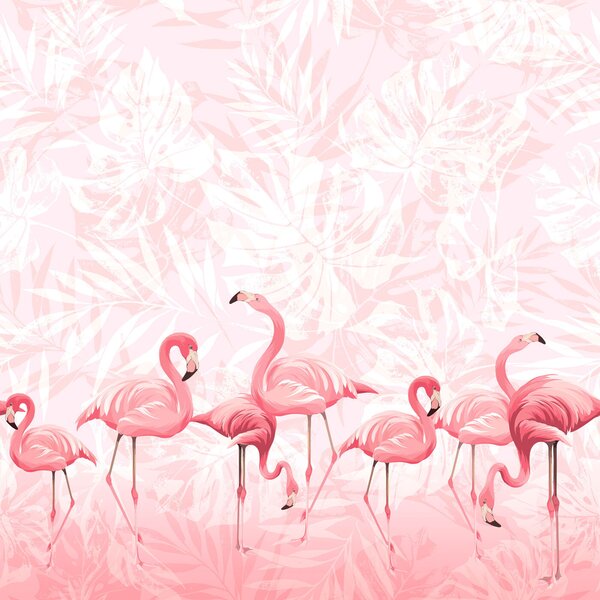 Fototapeta Grupa różowych flamingów, Fototapety Flamingi, Popularne Fototapety, u97217 - Tapeko.pl
