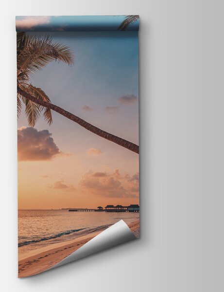 Fototapeta Plaża z palmami i zbiornikiem wodnym, Fototapety Plaża, Popularne Fototapety, u97886 - Tapeko.pl