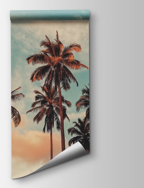 Fototapeta Grupa palm, Fototapety Plaża, Popularne Fototapety, u97883 - Tapeko.pl