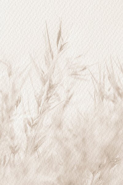 Fototapeta Delikatna natura w neutralnych odcieniach, Fototapety Natura, Popularne Fototapety, u98438 - Tapeko.pl