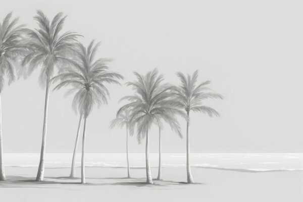 Fototapeta Grupa palm na plaży, Fototapety Natura, Popularne Fototapety, u98763 - Tapeko.pl